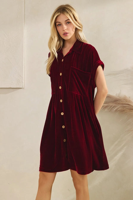 The Cheli Velvet Dress